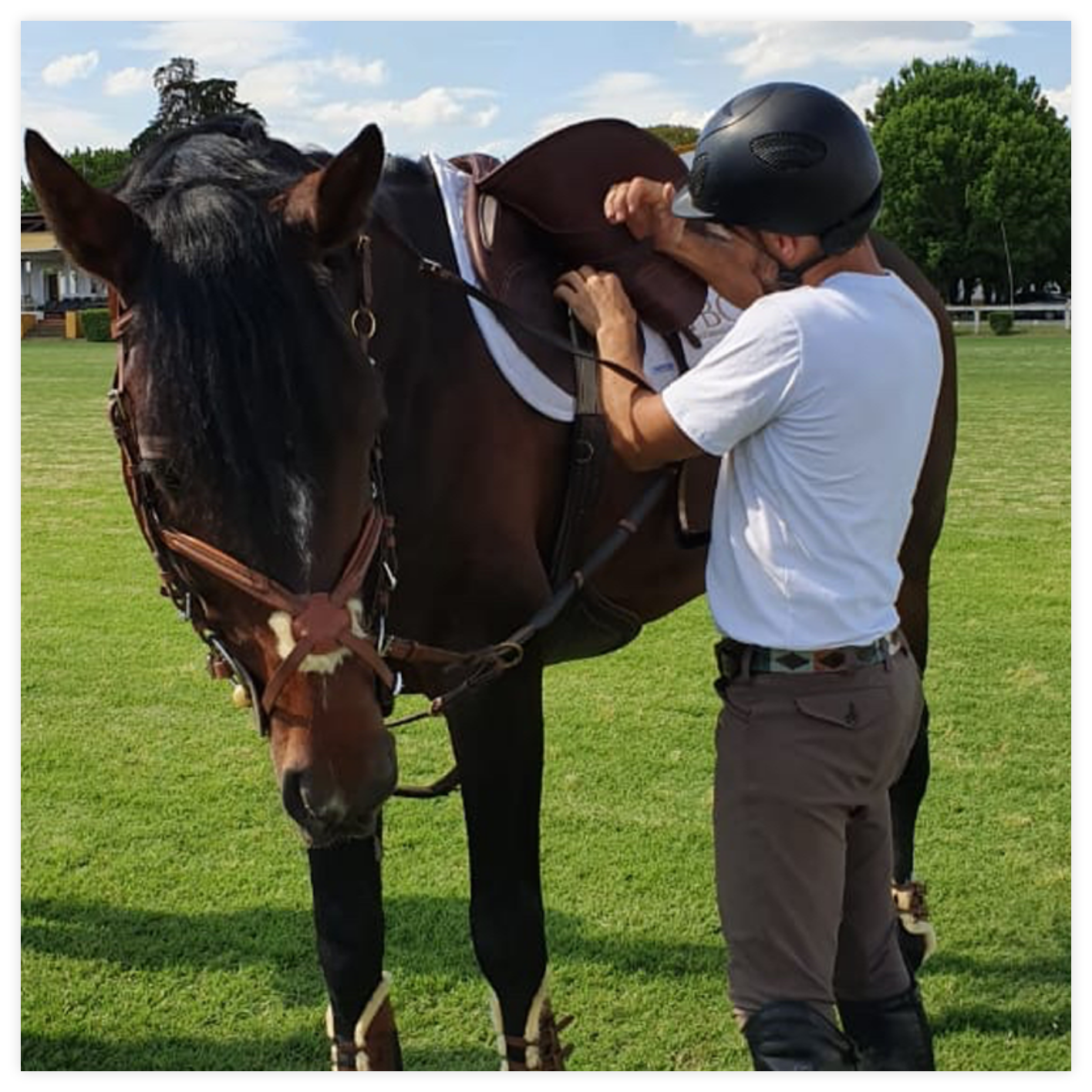 Contact a saddle fitter